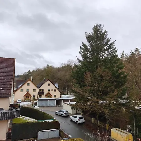 Waldblick *